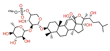 Holothurin B2